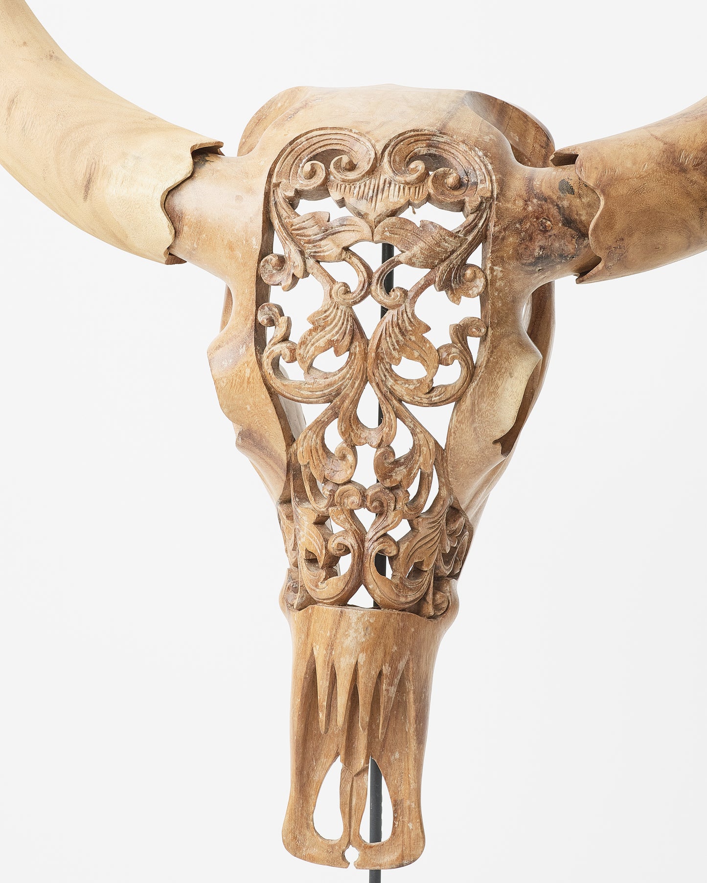 Buffalo Wood Skull Decor on Stand