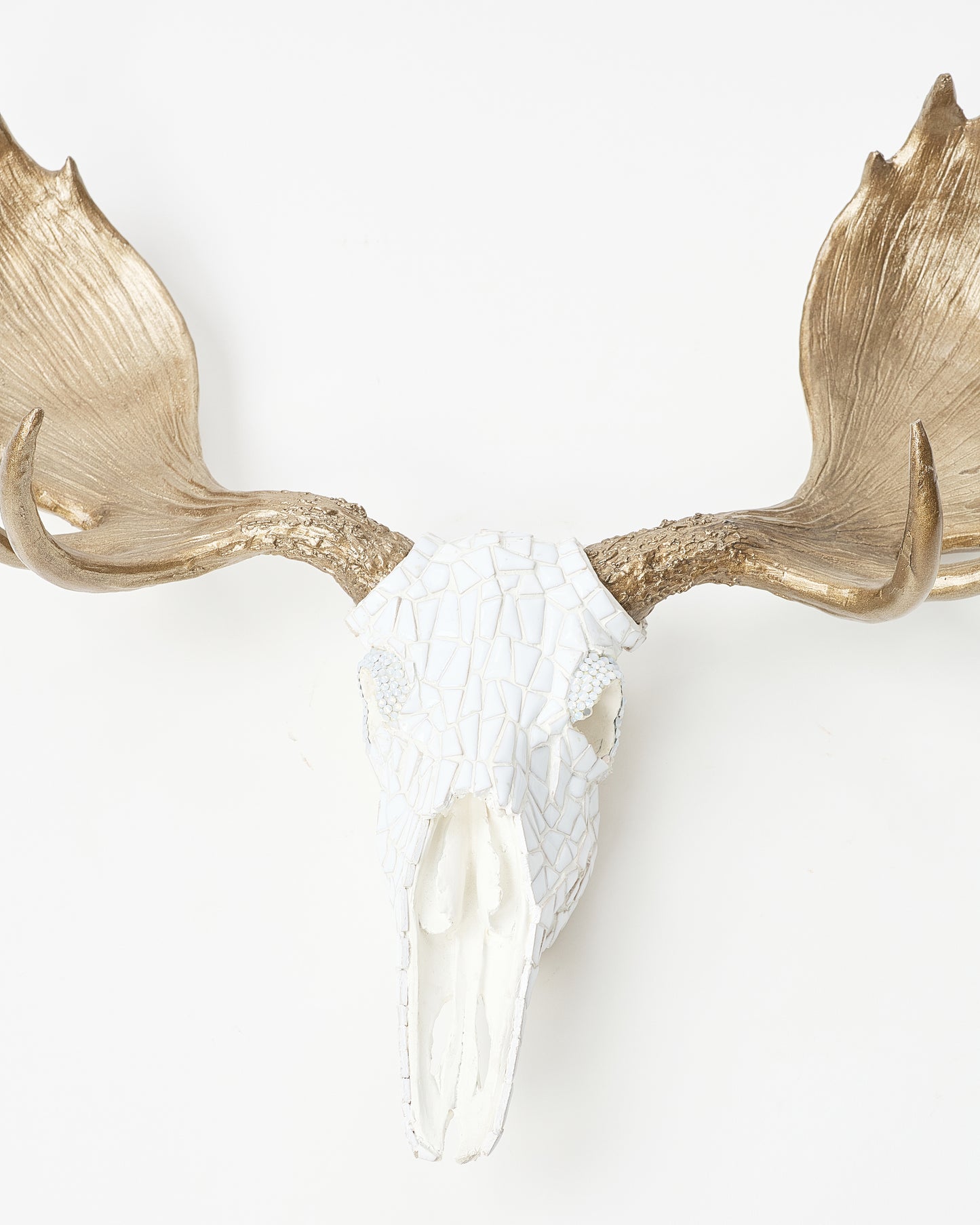 Elegant White Deer Skull Decor with Golden Antlers by Judy Shechter