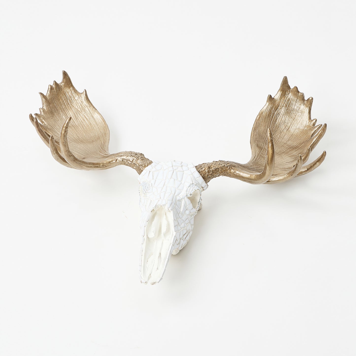 Elegant White Deer Skull Decor with Golden Antlers by Judy Shechter