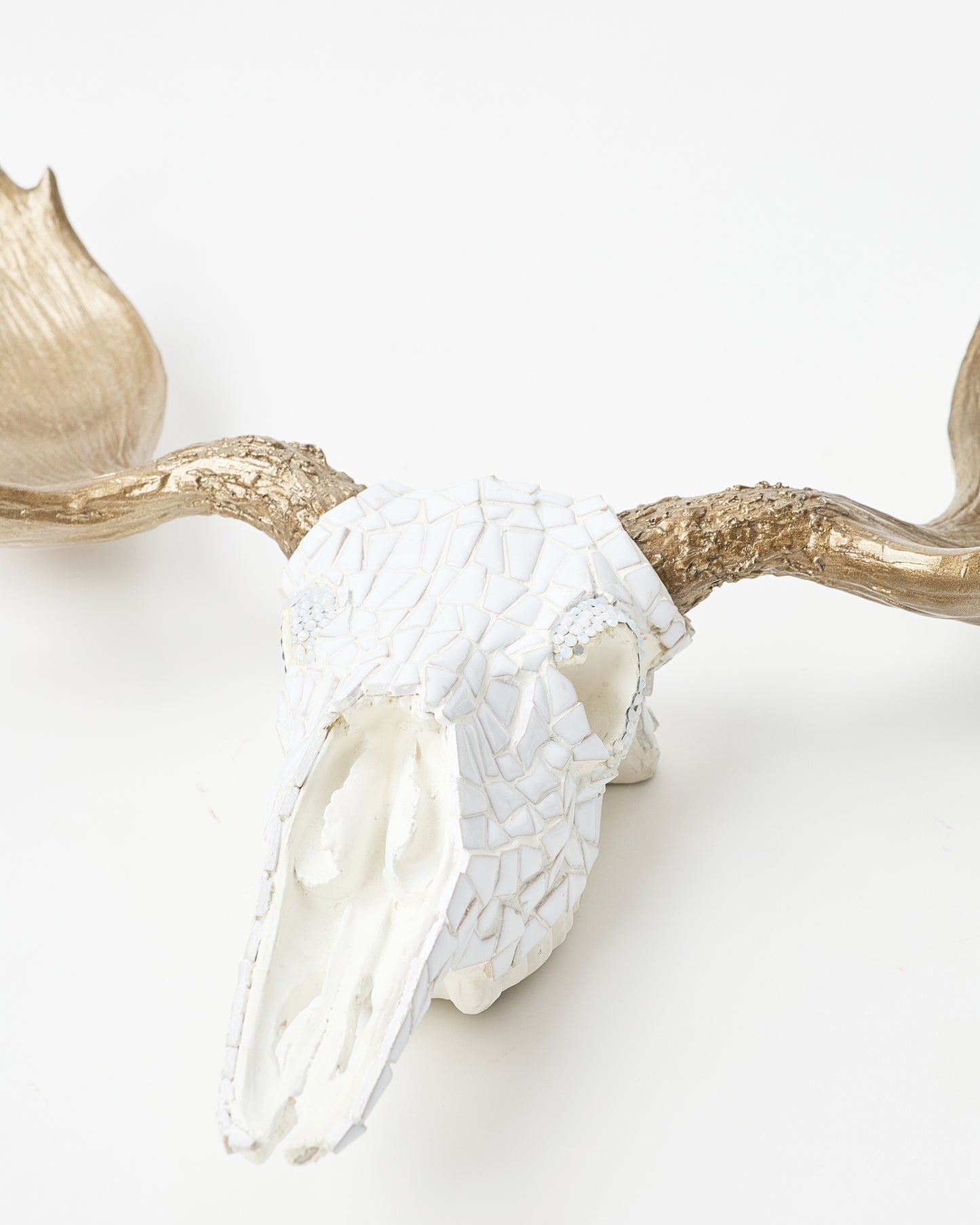 Elegant White Deer Skull Decor with Golden Antlers by Judy Shechter