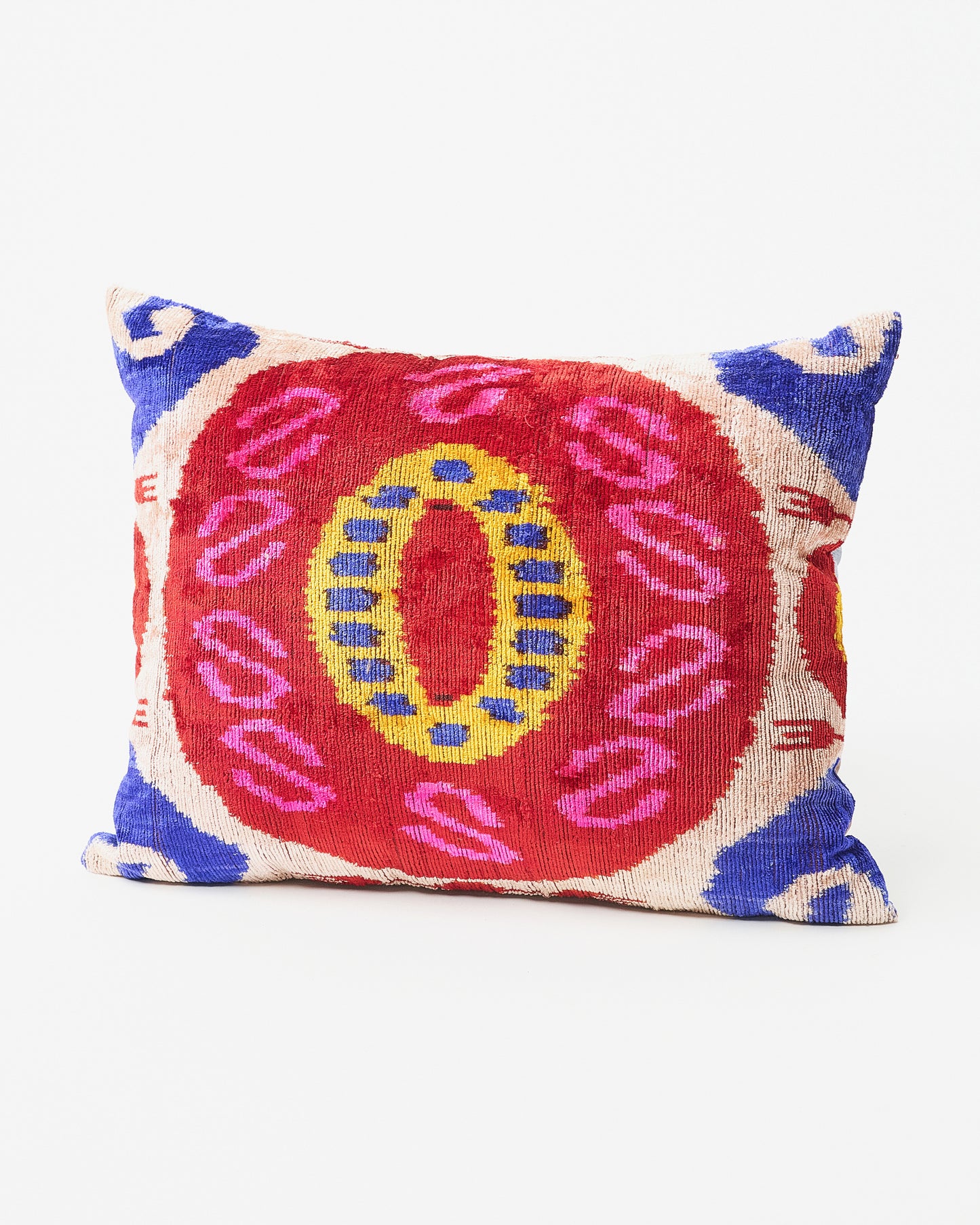 Vibrant Extravaganza: Rectangular Pillow in Bold Splendor