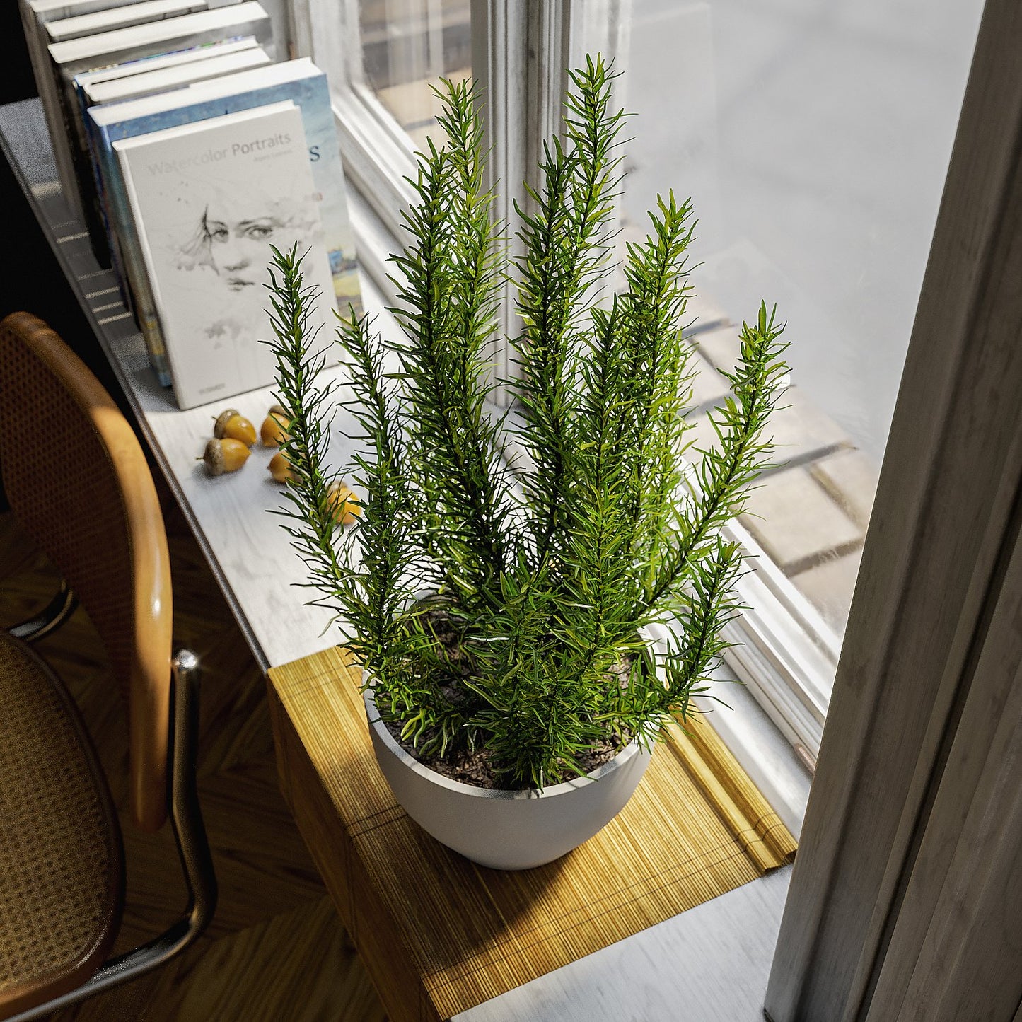 Plant Rosemary